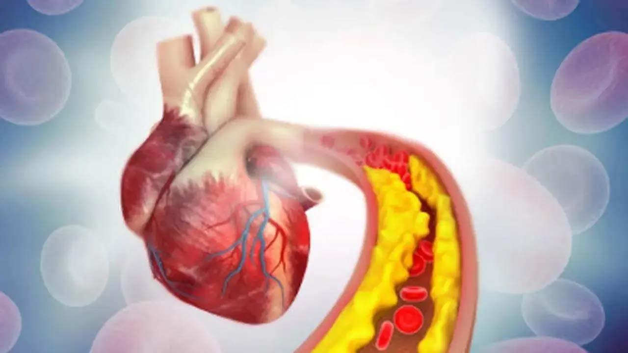 પ્રતીકાત્મક તસવીર