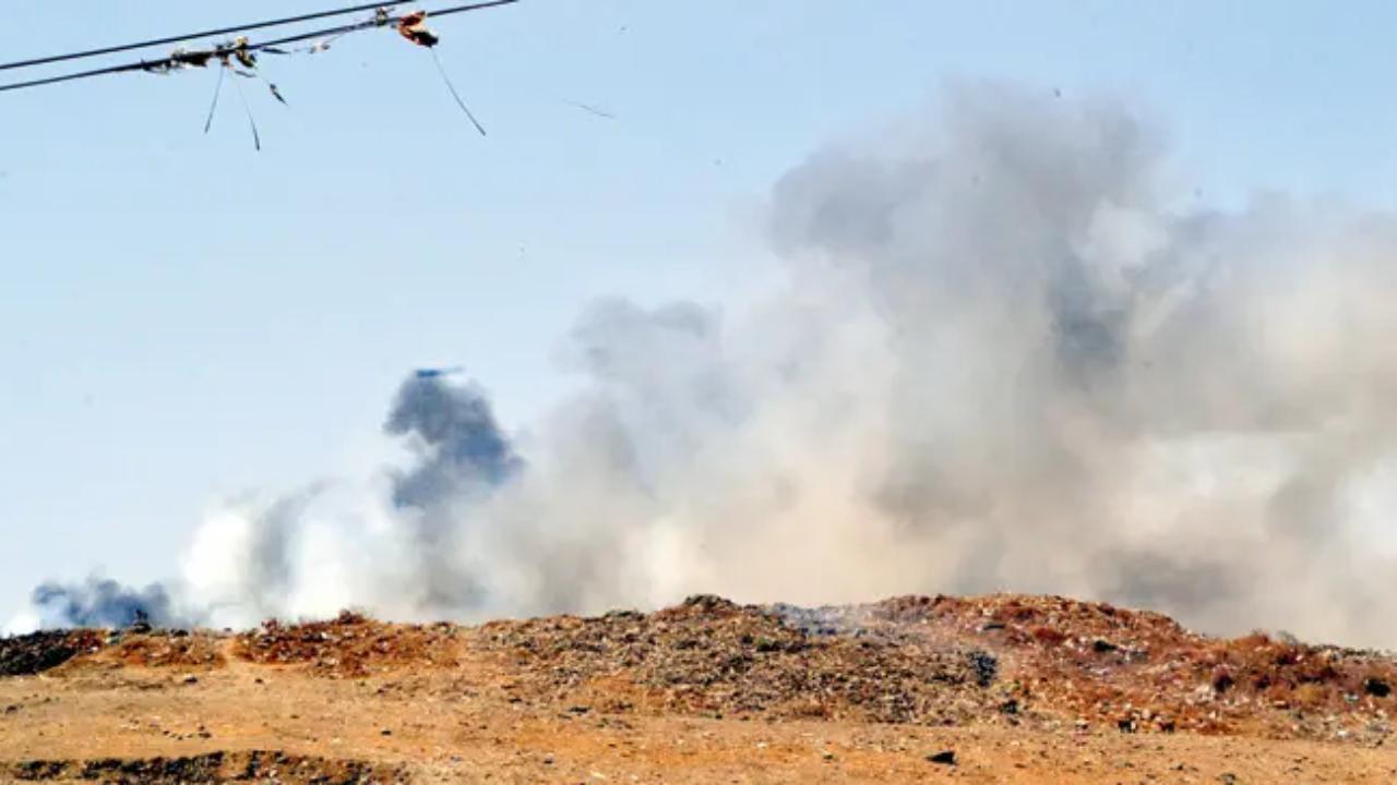 પ્રતીકાત્મક ફાઇલ તસવીર