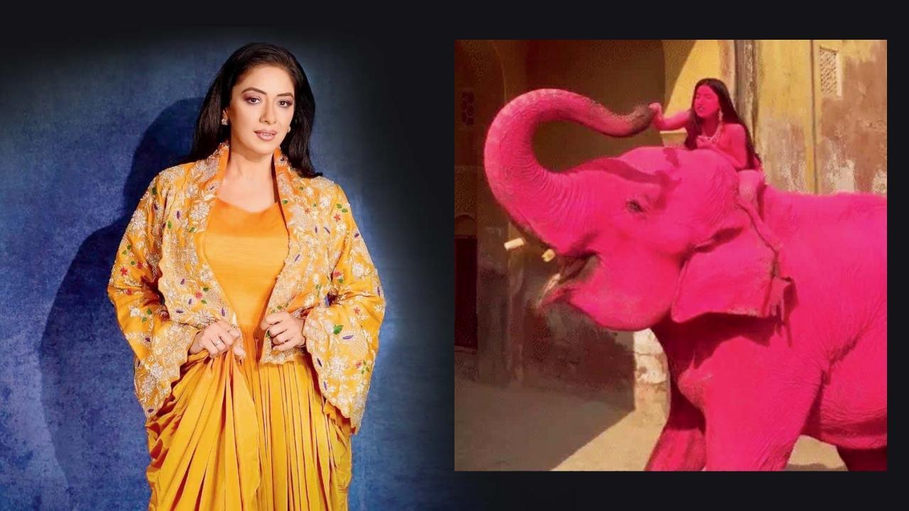  રૂપાલી પીપલ ફૉર ધી એથિકલ ટ્રીટમેન્ટ ઑફ ઍનિમલ્સ (PETA)ની સમર્થક છે અને પ્રાણીઓના હકો માટે અવાજ ઉઠાવતી રહે છે. 