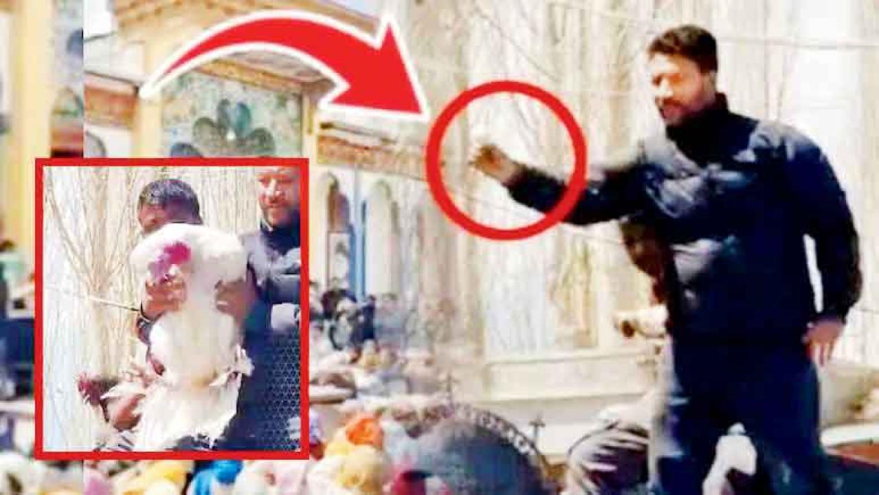 લેહમાં હરાજીમાં એક ઈંડું વેચાયું ૨૫,૦૦૦ રૂપિયામાં અને મરઘો વેચાયો સવા લાખ રૂપિયામાં