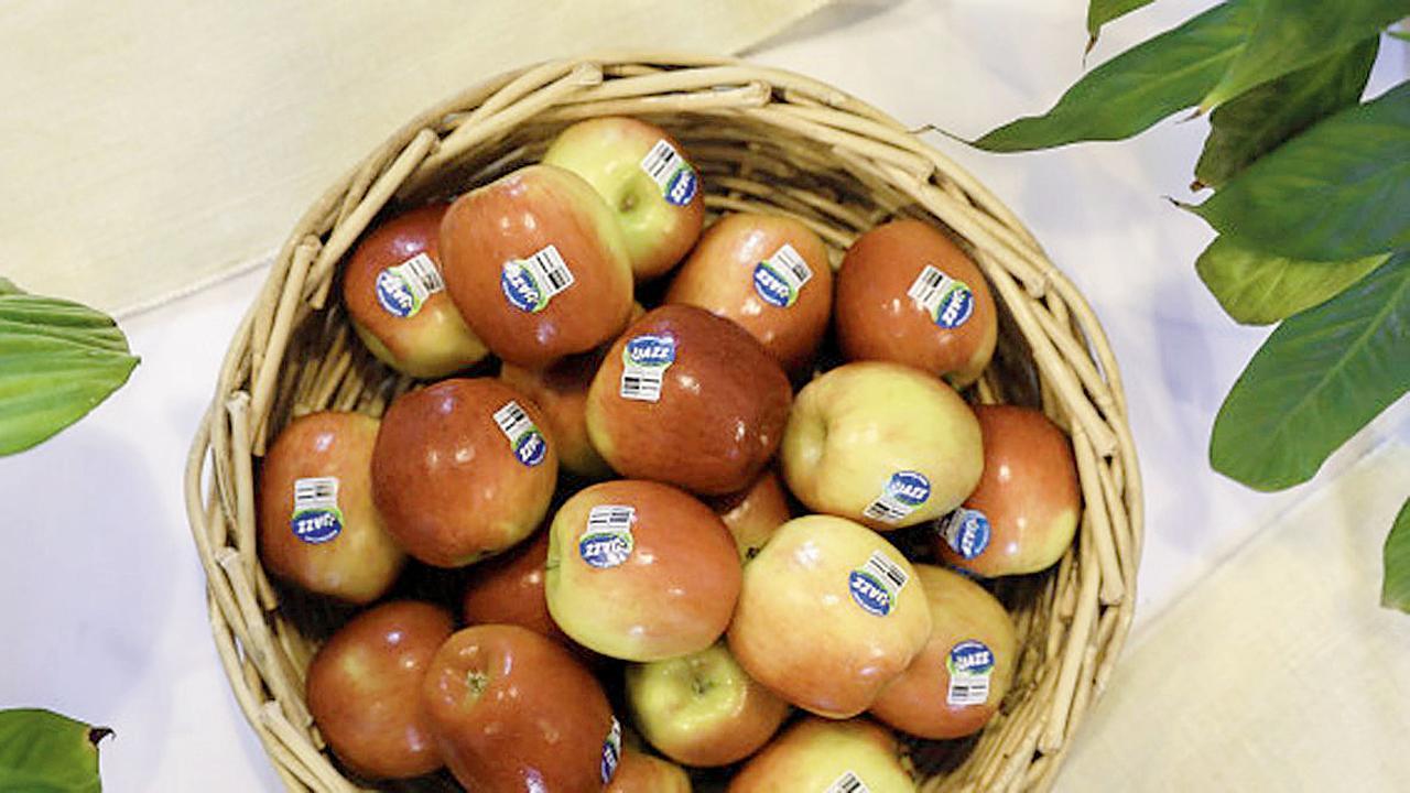 પ્રતીકાત્મક તસવીર