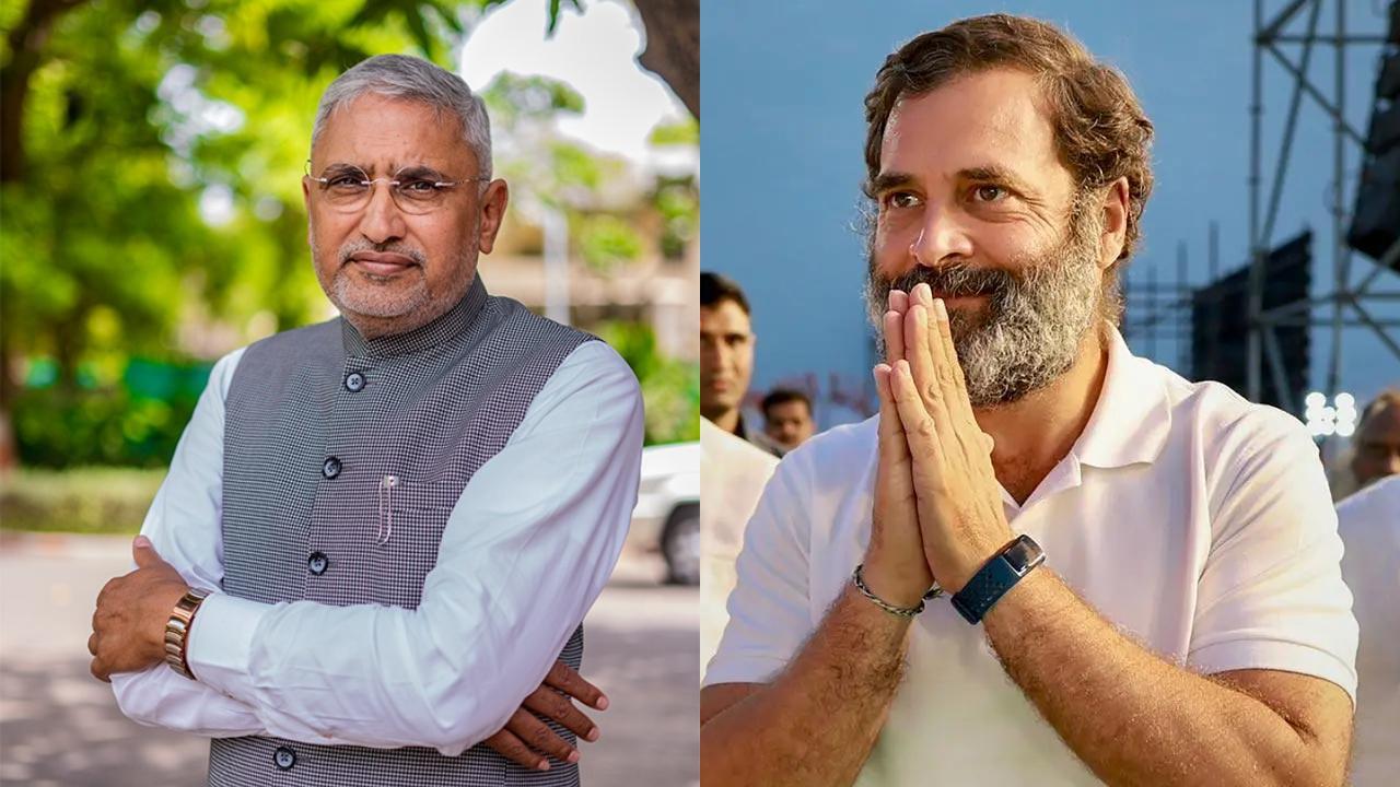 ભાજપના પ્રદેશ પ્રમુખ જગદીશ વિશ્વકર્મા અને રાહુલ ગાંધી