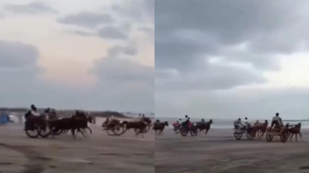 વાયરલ વીડિયોમાંથી સ્ક્રીન શૉટ (તસવીર: સોશિયલ મીડિયા)