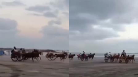 વાયરલ વીડિયોમાંથી સ્ક્રીન શૉટ (તસવીર: સોશિયલ મીડિયા)