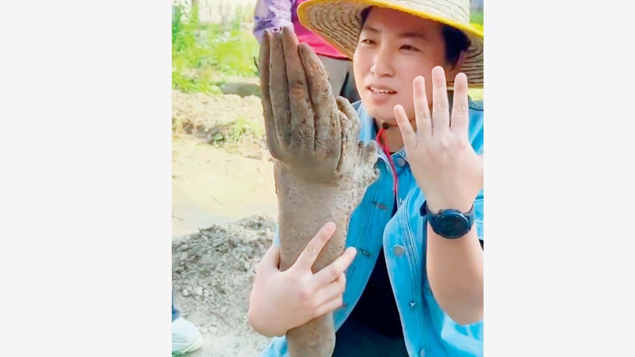 આ જોઈને ખેડૂતભાઈ ડરી ગયા. તેને થયું કે ખેતરમાં કોઈએ લાશ તો નથી છુપાવીને?