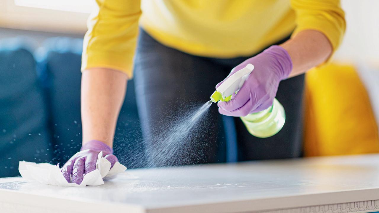 ઘરને જંતુમુક્ત કરવા તમે ડિસઇન્ફેક્ટન્ટ સ્પ્રે વાપરો છો?