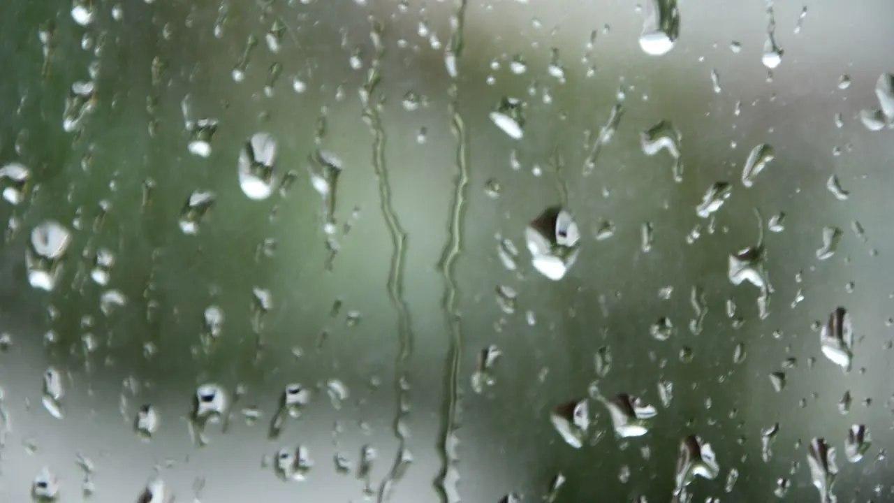 પ્રતીકાત્મક તસવીર (સૌજન્ય: મિડ-ડે)