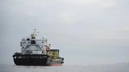 પ્રતીકાત્મક ફાઇલ તસવીર