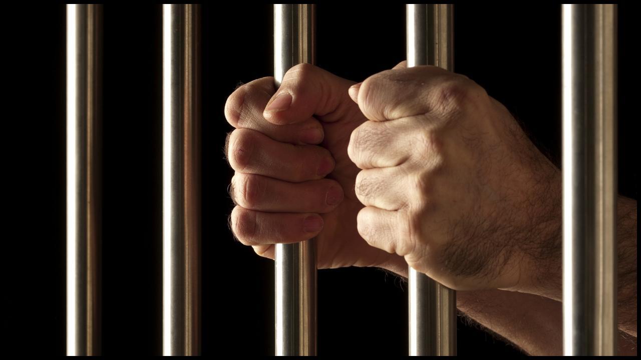 પ્રતીકાત્મક ફાઇલ તસવીર