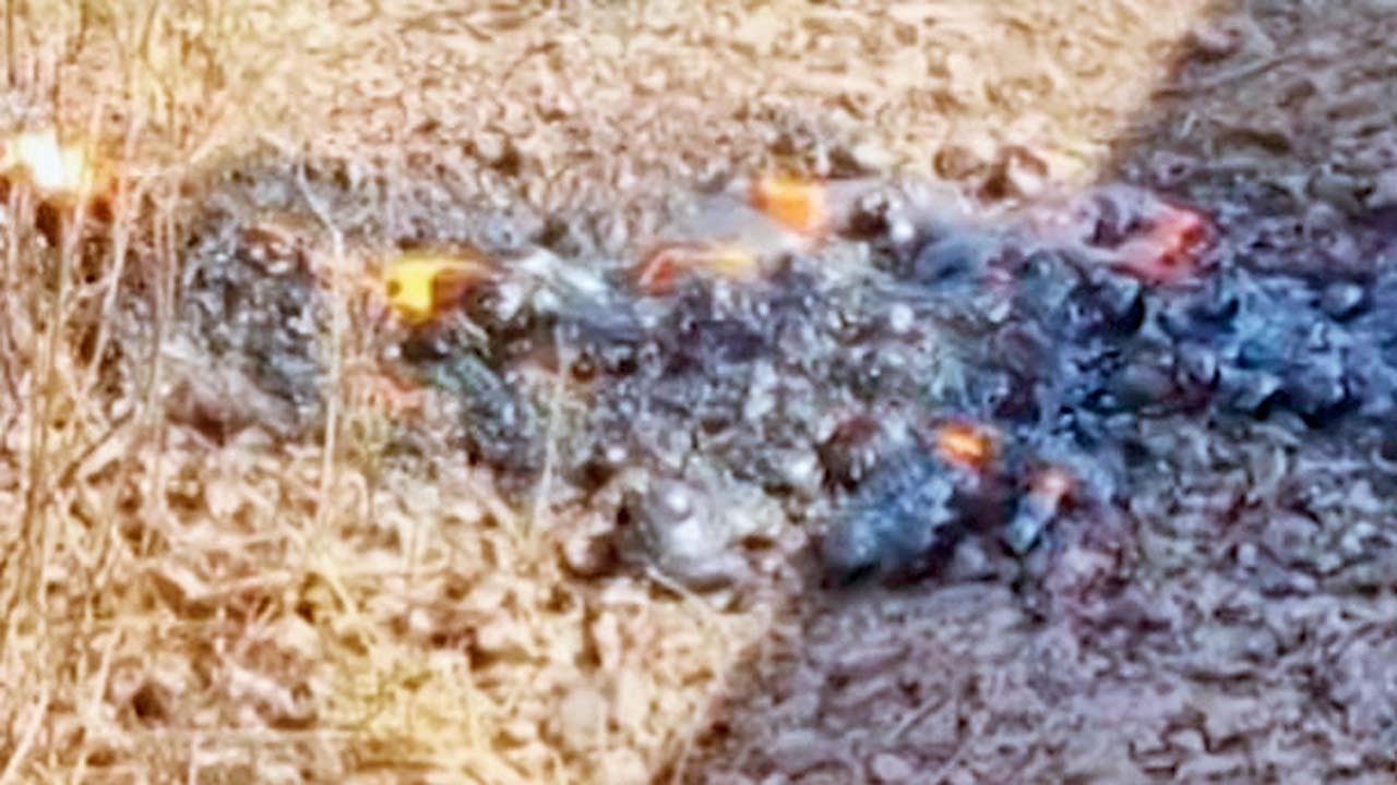 જમીનમાંથી કાળો લાવા બહાર આવતાં જાલનાના લોકો ગભરાઈ ગયા હતા.