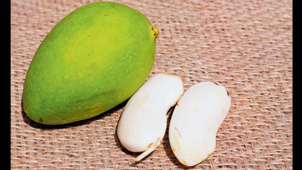 પ્રતીકાત્મક તસવીર