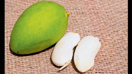 પ્રતીકાત્મક તસવીર