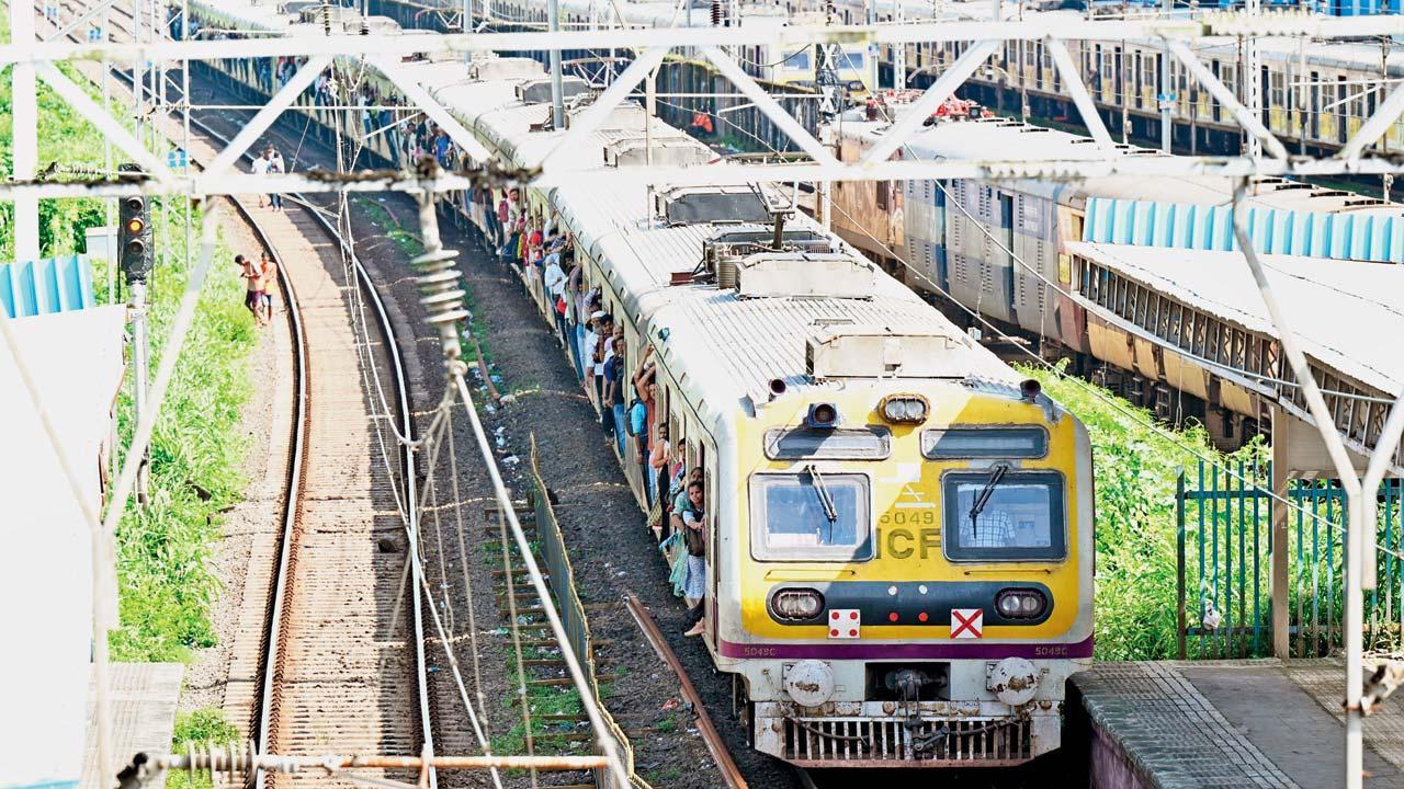 પ્રતીકાત્મક તસવીર