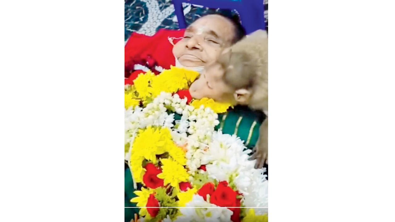 પાર્વતમ્માએ પોતાની જિંદગીનો એક મોટો હિસ્સો વાંદરાઓને સમર્પિત કર્યો હતો