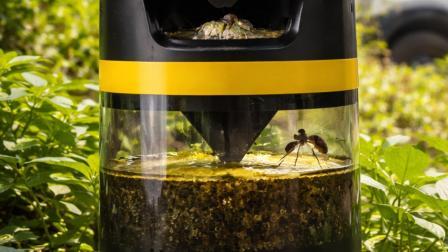 ડેન્ગી-મલેરિયા સામે BMCનું નવું હથિયાર  મુવ્વી ટ્રૅપ