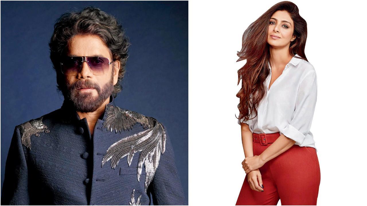 નાગાર્જુનની ૧૦૦મી ફિલ્મમાં તબુની સ્પેશ્યલ એન્ટ્રી