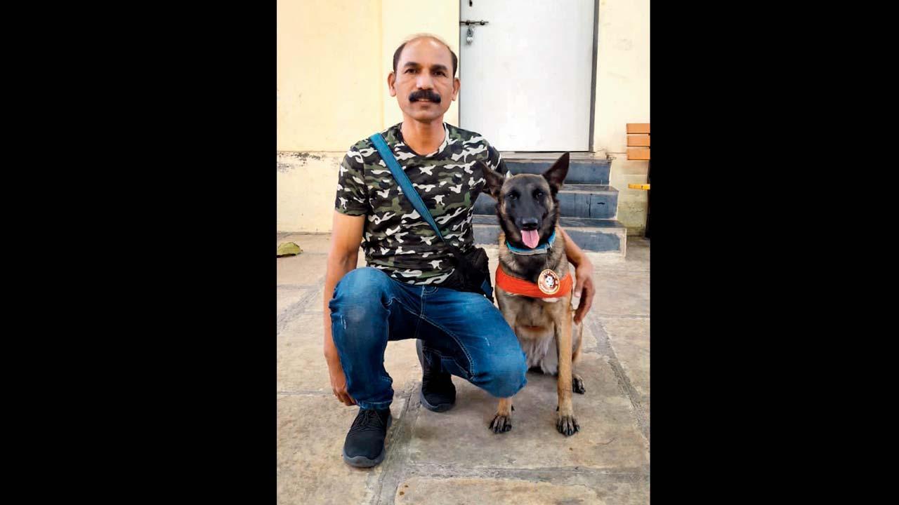 નાલાસોપારાના હત્યાકેસમાં મહત્ત્વની ભૂમિકા ભજવનાર ડૉગી બેલા. 