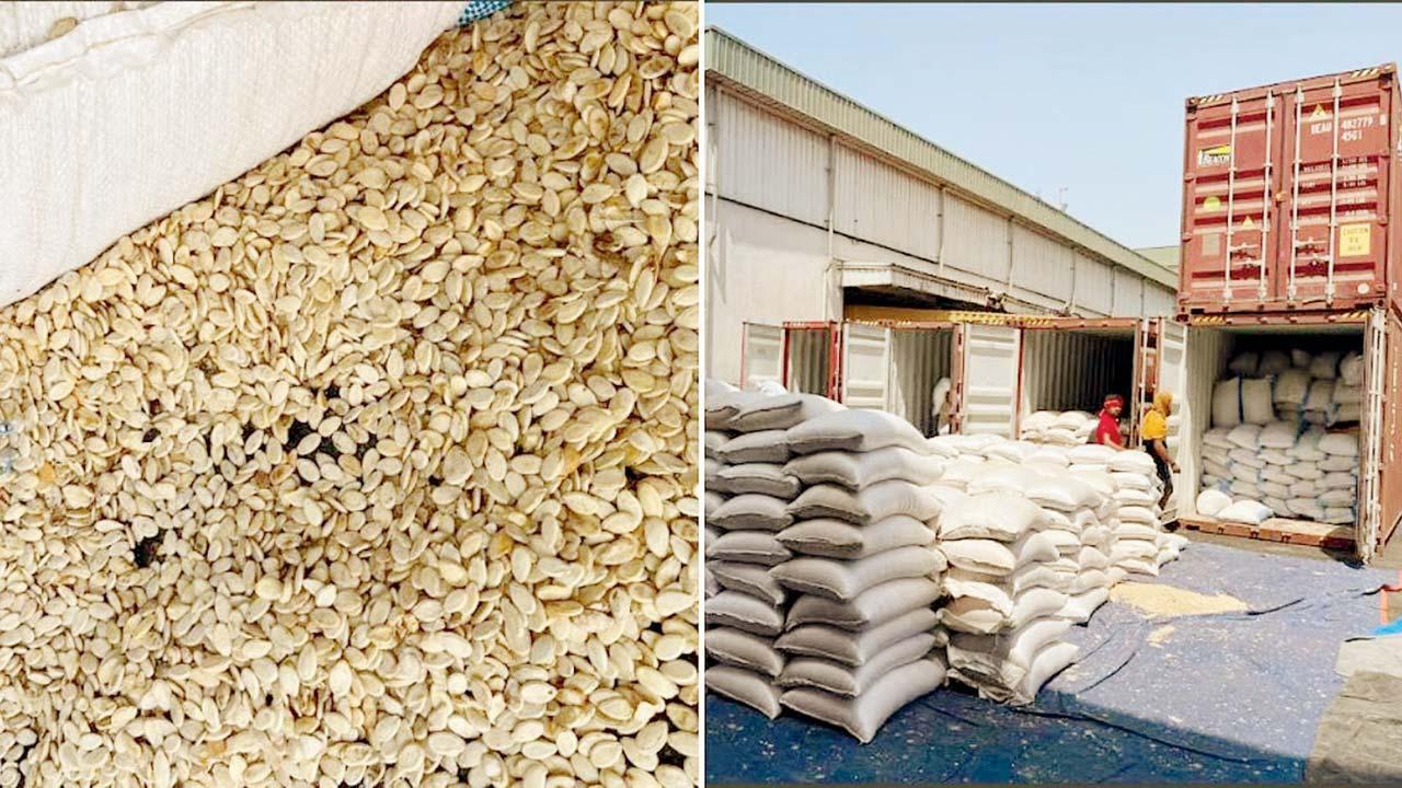 મુંબઈ DRIએ પકડેલો કરોડો રૂપિયાનો મુદ્દામાલ.