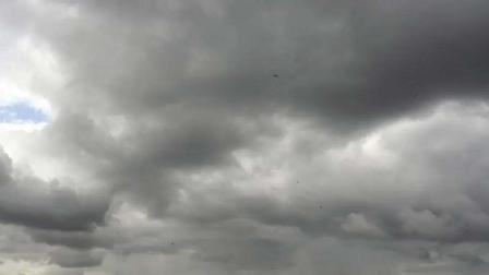 પ્રતીકાત્મક તસવીર