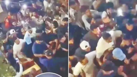 વાયરલ વીડિયોનો સ્ક્રીન ગરૅબ (તસવીર સૌજન્ય: સોશિયલ મીડિયા)