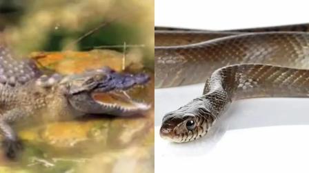 પ્રતીકાત્મક તસવીર