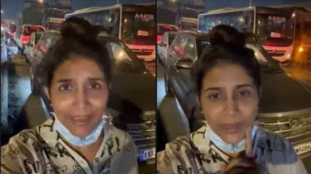 વાયરલ વીડિયોનો સ્ક્રીન ગરૅબ (તસવીર સૌજન્ય: સોશિયલ મીડિયા)