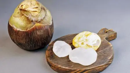 તાડગોળા