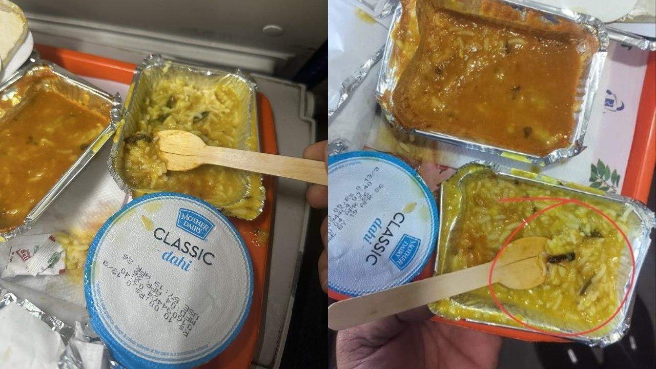 વાયરલ પોસ્ટનો સ્ક્રીન ગરૅબ (તસવીર સૌજન્ય: સોશિયલ મીડિયા)