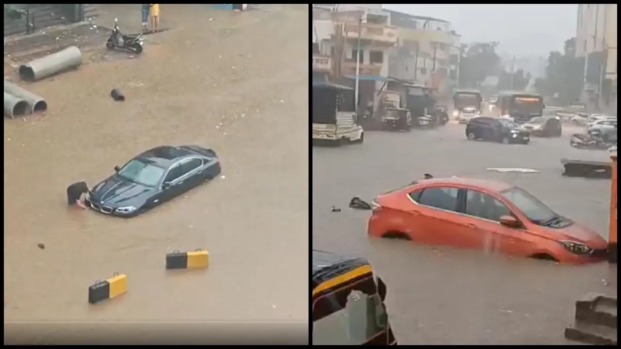 વાયરલ વીડિયોમાંથી સ્ક્રીન શૉટ (તસવીર: સોશિયલ મીડિયા)