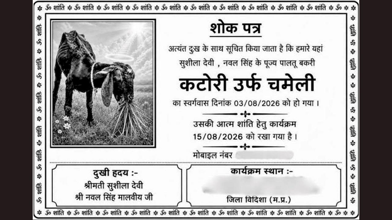 ૨૦ વર્ષ સુધી બકરીને દીકરીની જેમ રાખી, મૃત્યુ પછી તેરમાની વિધિ કરી અને ગંગામાં અસ્થિ-વિસર્જન કર્યું