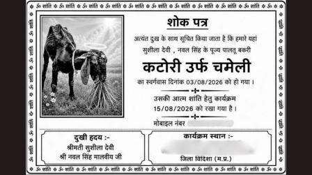 ૨૦ વર્ષ સુધી બકરીને દીકરીની જેમ રાખી, મૃત્યુ પછી તેરમાની વિધિ કરી અને ગંગામાં અસ્થિ-વિસર્જન કર્યું