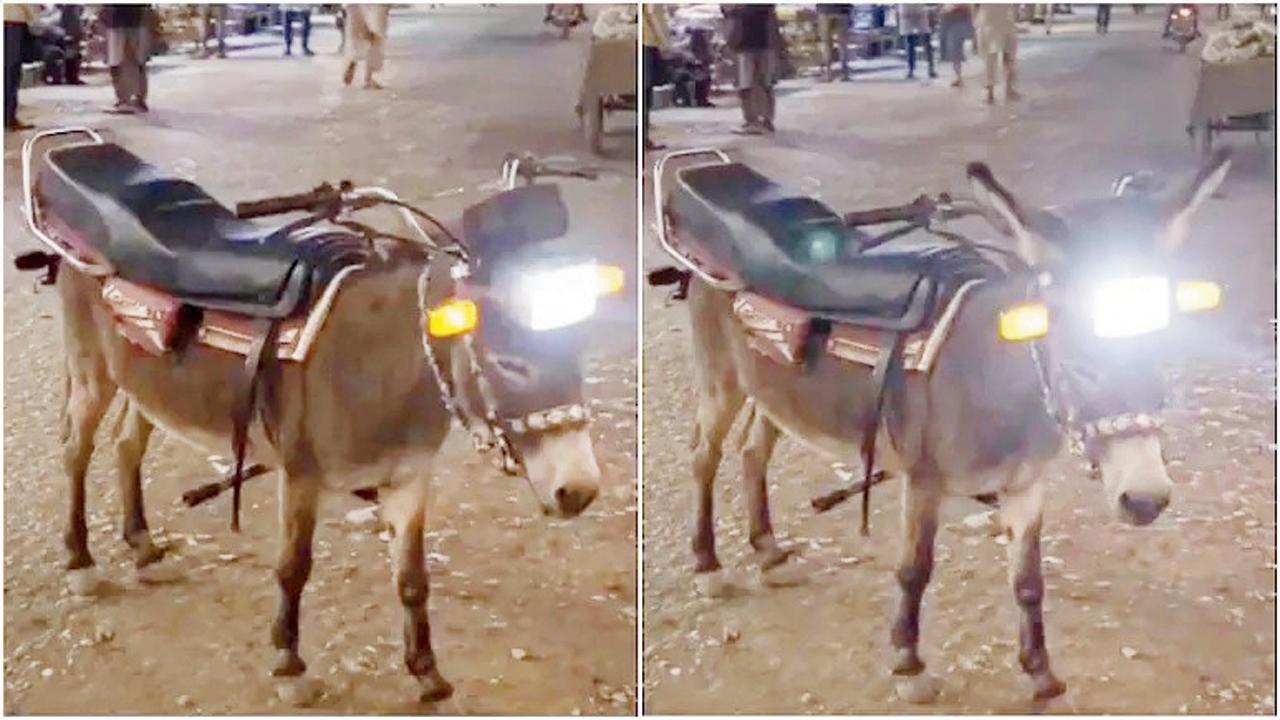 હર્ષ ગોયનકાએ ઘાસથી ચાલતી અનોખી બાઇક ઇન્ટ્રોડ્યુસ કરી