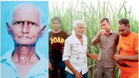 મેરઠમાં પૌત્રની સામે કૂતરાઓએ દાદાનું શરીર કરડી ખાધું
