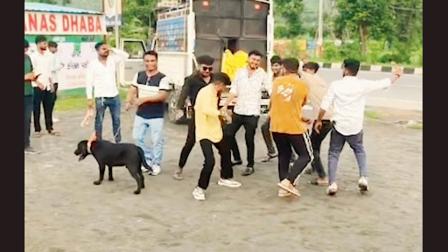 ગાયબ થઈ ગયેલો ડૉગ પાછો મળ્યો એટલે એને લઈને માનતા પૂરી કરવા અંબાજી પદયાત્રા કરી 