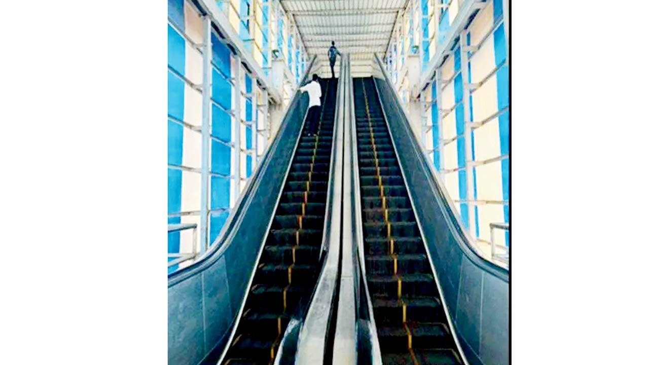 પ્રતીકાત્મક તસવીર