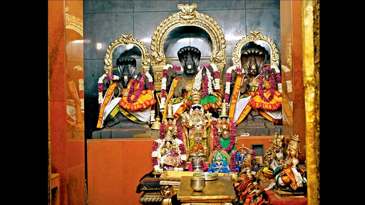 સુરક્ષા, જ્ઞાન અને સમૃદ્ધિનો ત્રિવેણી સંગમ