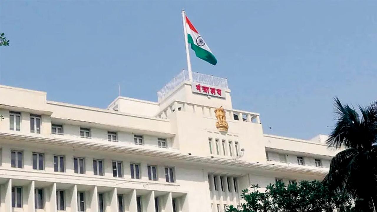 ફાઇલ તસવીર