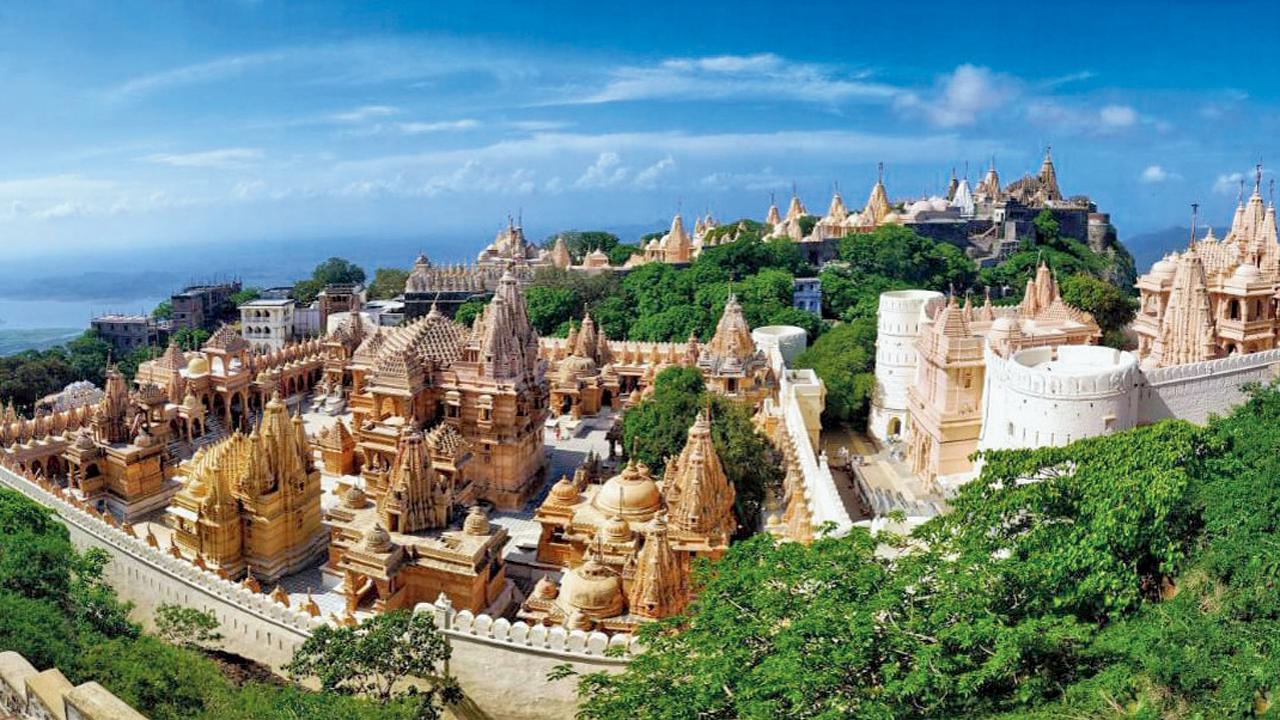 ફાઇલ તસવીર