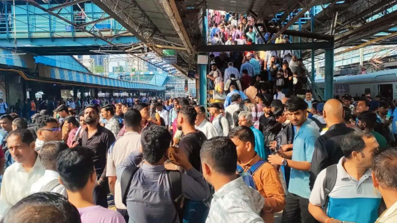 પ્રતીકાત્મક તસવીર