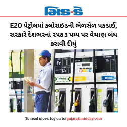 E20 પેટ્રોલમાં ક્લોરાઇડની ભેળસેળ પકડાઈ, સરકારે દેશભરનાં ૨૫૭૩ પમ્પ પર વેચાણ બંધ કરાવી દીધું