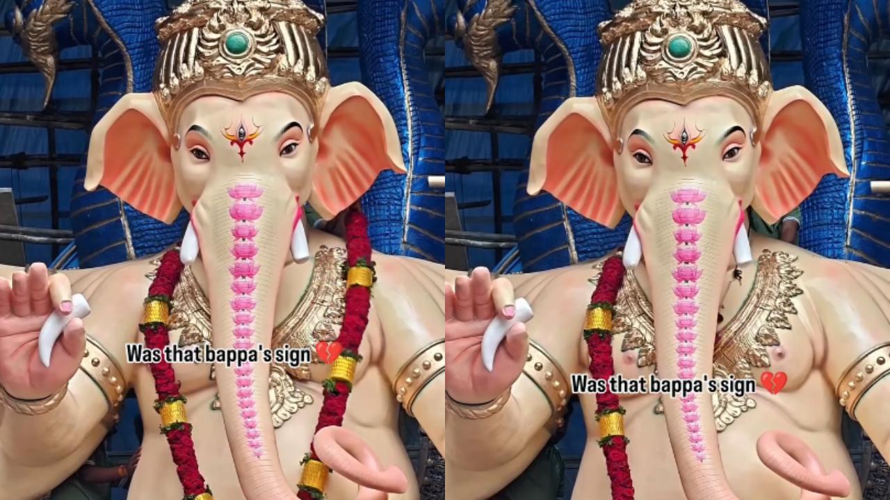 વાયરલ વીડિયોમાંથી સ્ક્રીનશૉટ