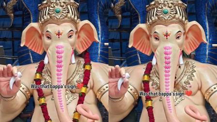 વાયરલ વીડિયોમાંથી સ્ક્રીનશૉટ