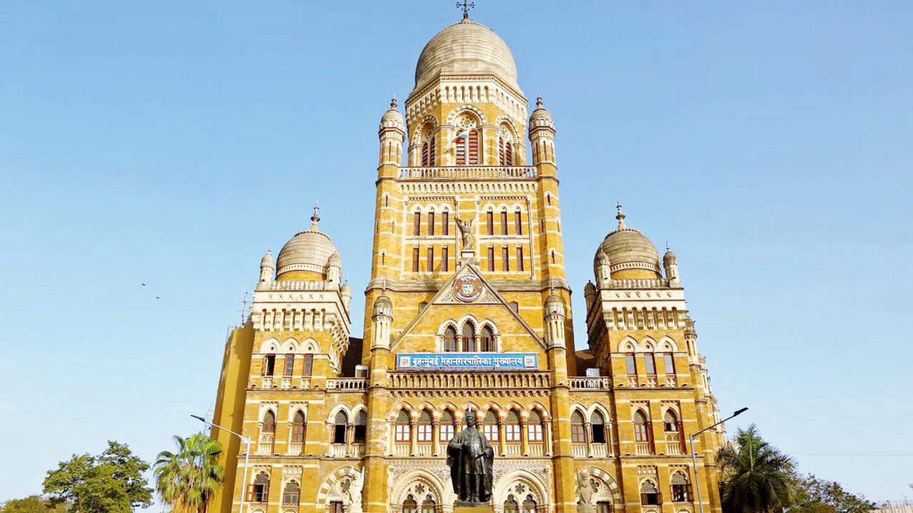 પ્રતીકાત્મક ફાઇલ તસવીર