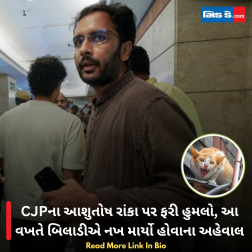 CJPના આશુતોષ રાંકા પર ફરી હુમલો, આ વખતે બિલાડીએ નખ માર્યો હોવાના અહેવાલ