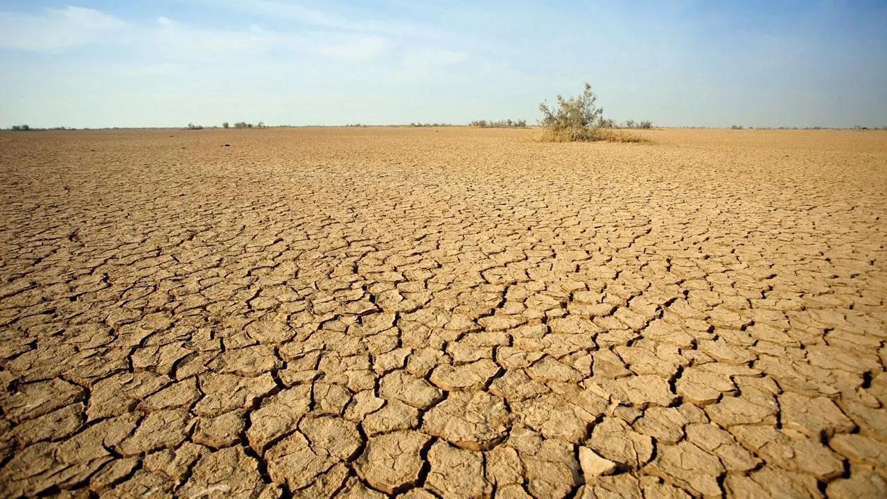 પ્રતીકાત્મક ફાઇલ તસવીર