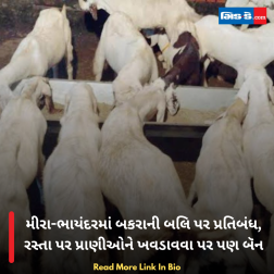 ત્રીજી પ્રૅગ્નેન્સી પર કરીના કપૂર ખાને આપ્યો જવાબ, વાયરલ વીડિયો બાબતે શું કહ્યું?