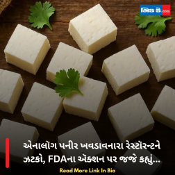 એનાલૉગ પનીર ખવડાવનારા રેસ્ટૉરન્ટને ઝટકો, FDAના ઍક્શન પર જજે કહ્યું...