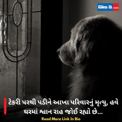 ટેકરી પરથી પડીને આખા પરિવારનું મૃત્યુ, હવે ઘરમાં શ્વાન રાહ જોઈ રહ્યો છે... 