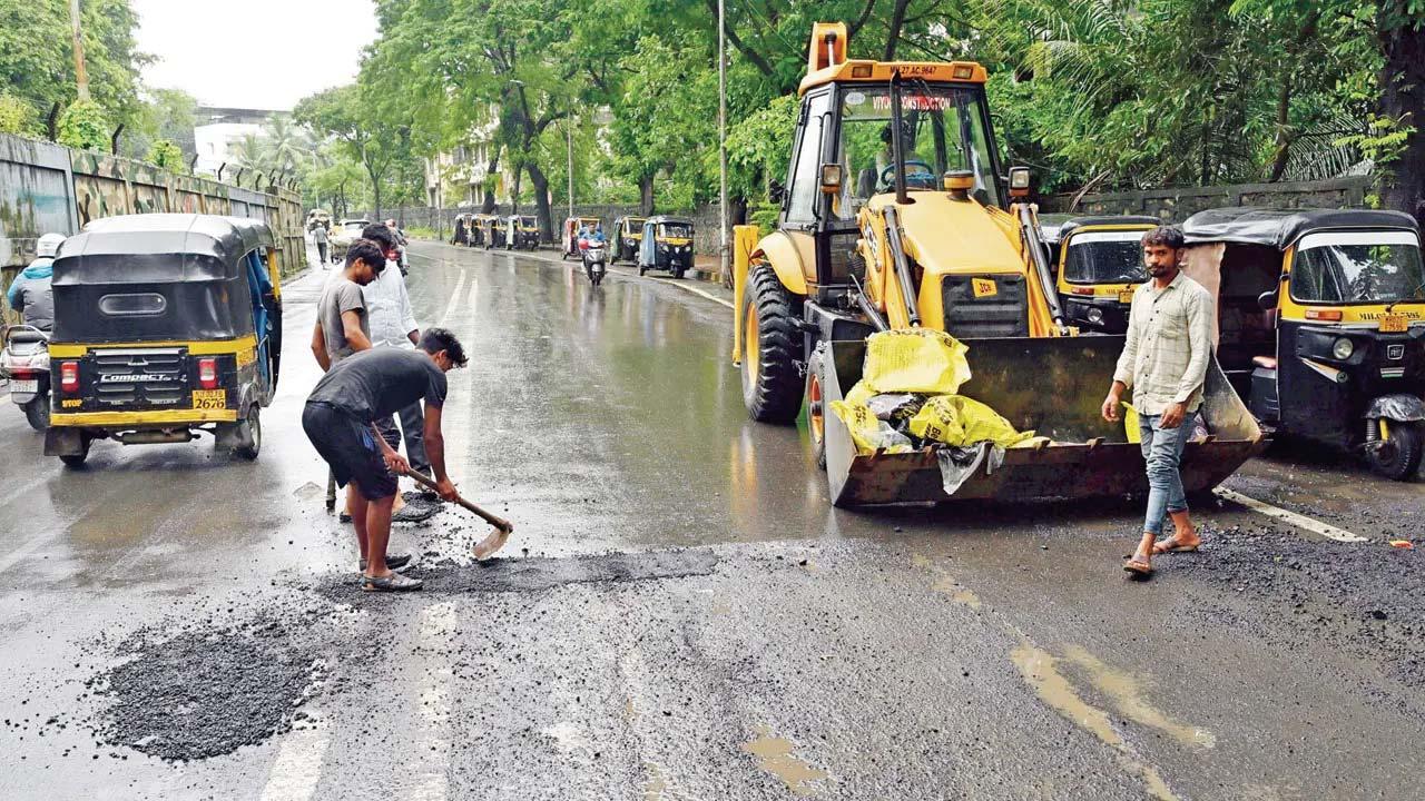 ફાઇલ તસવીર