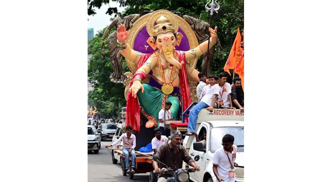 તસવીરઃ શાદાબ ખાન